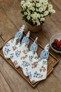 ShootingBERRIES-MAMEG[ALTA]-370