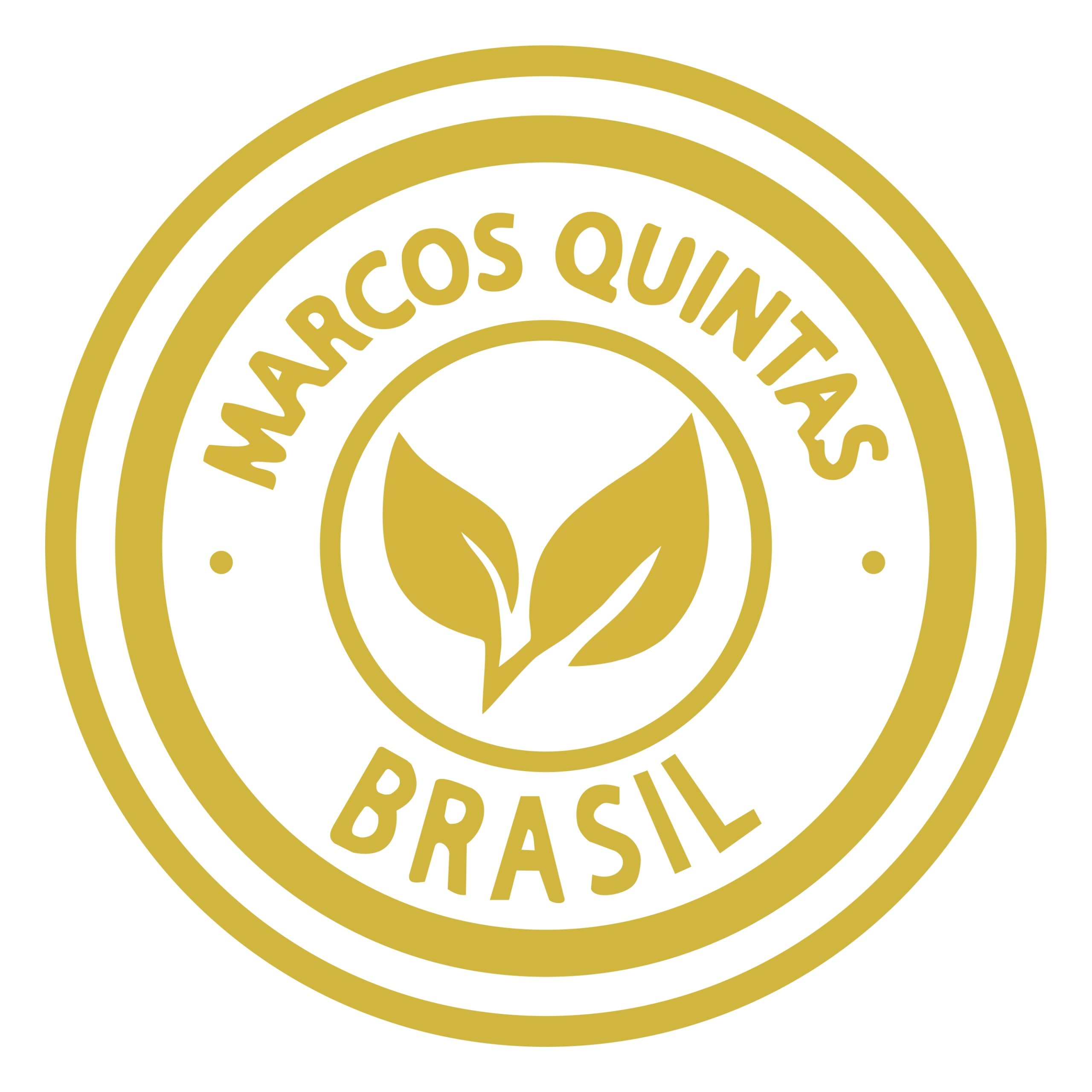 MARCOS QUINTAS DESIGNER