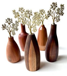 CAVACO- Fundo Branco