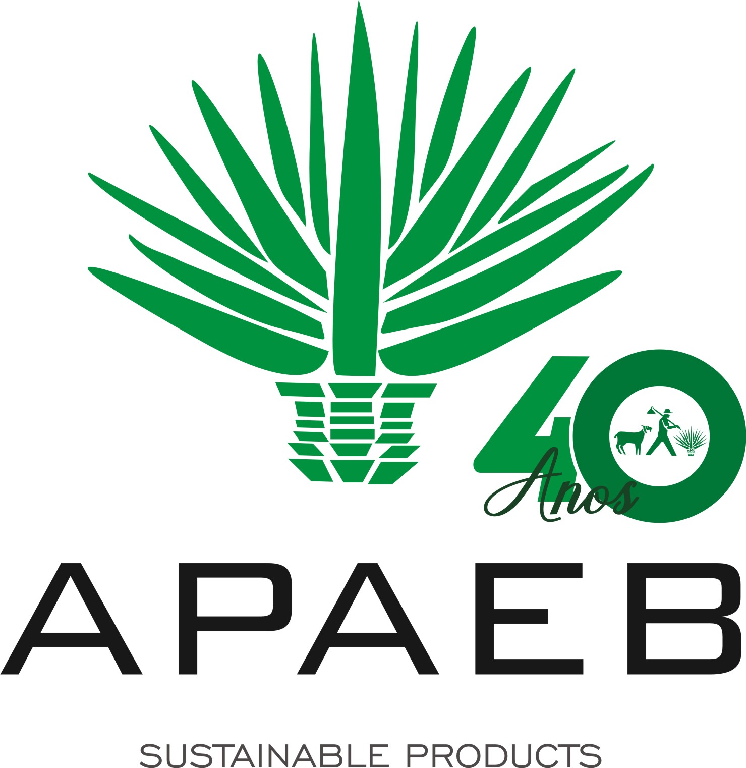 APAEB SISAL