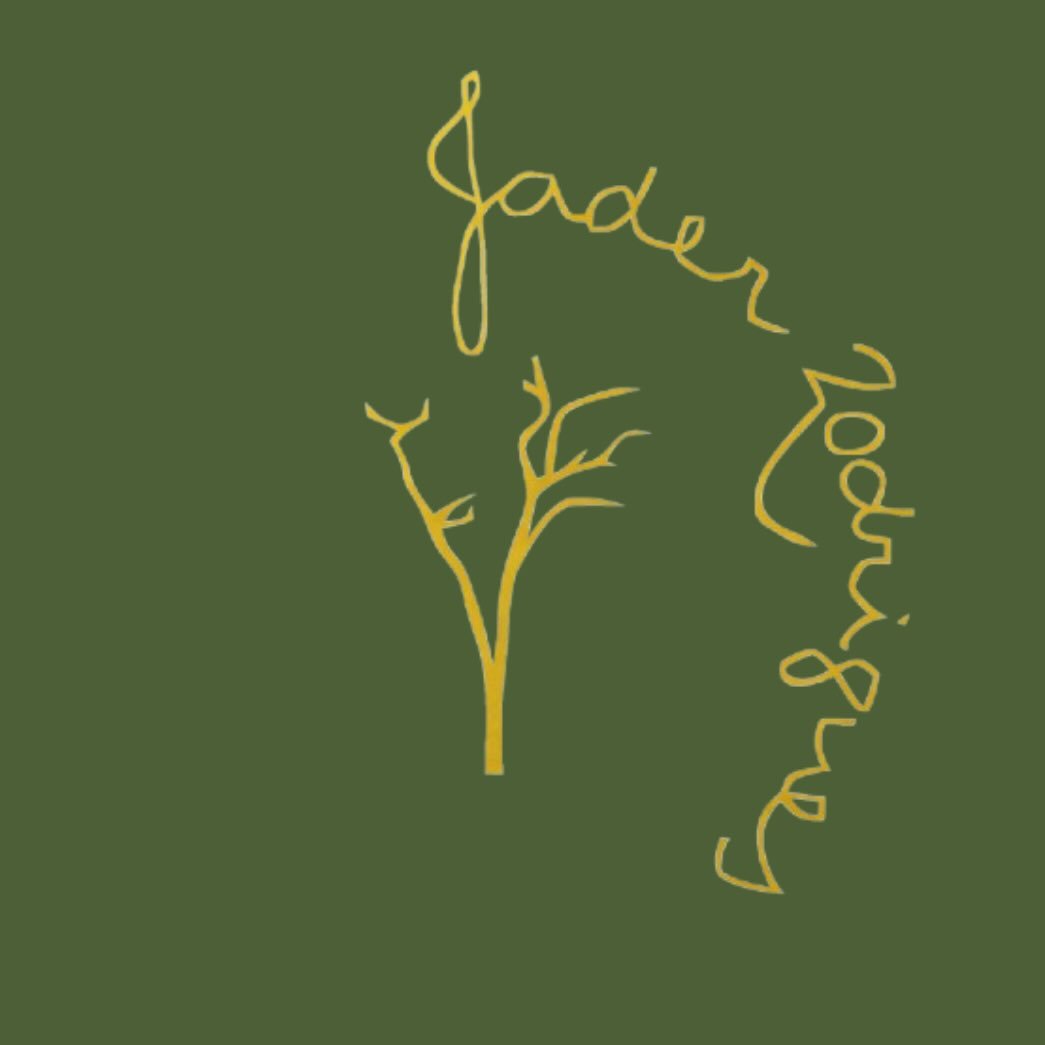STUDIO JADER RODRIGUES